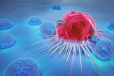 nk cell